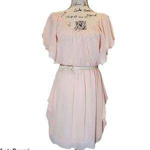 NWT Gabby Skye Pink Chiffon Dress Size 6